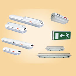 The explosion-proof fluorescent lamp