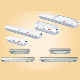 The explosion-proof fluorescent lamp